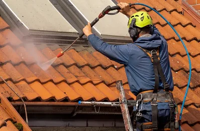 Démoussage et hydrofuge de toiture au Fidelaire